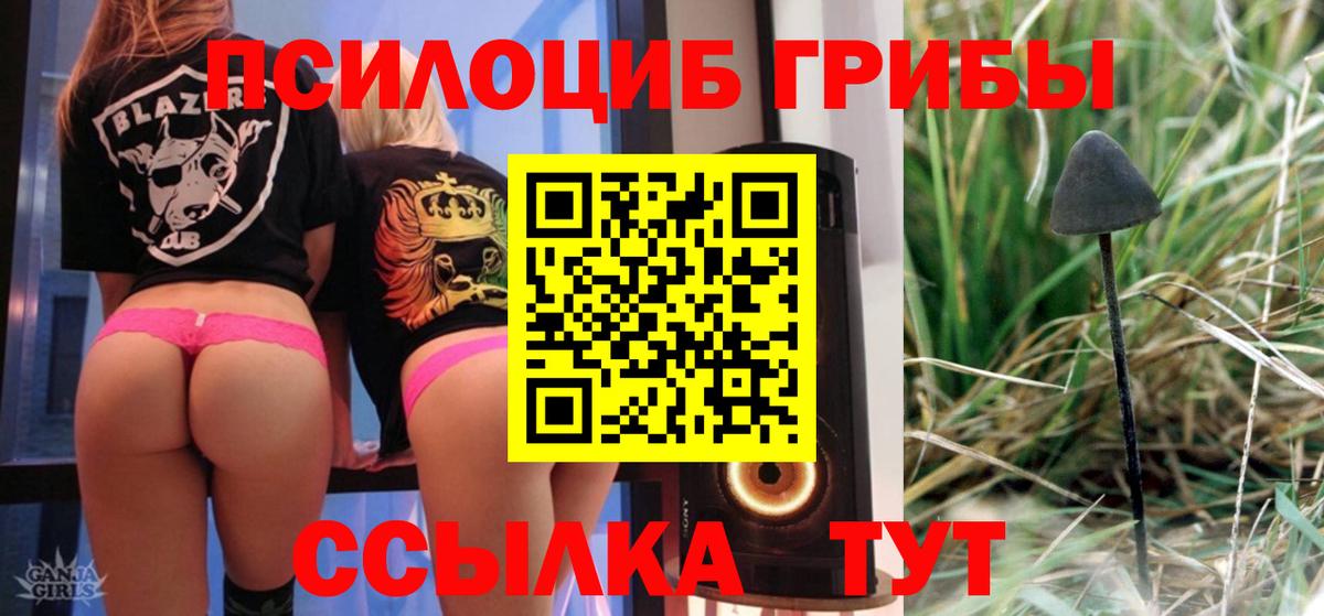 где можно купить наркотик  Вход с VPN  Кировск  Псилоцибиновые грибы мухоморы 