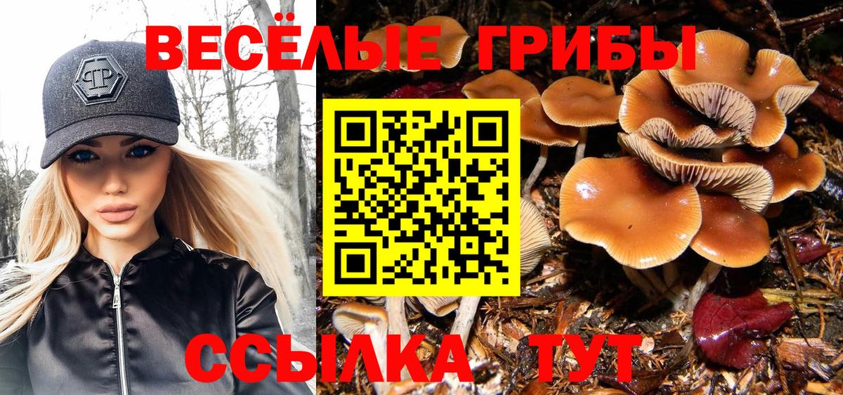 Галлюциногенные грибы прущие грибы Кировск